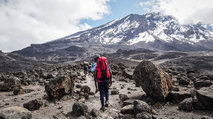 Kilimanjaro