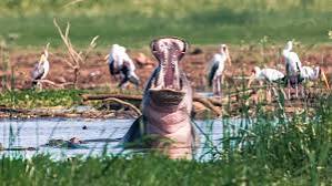 Lake Manyara