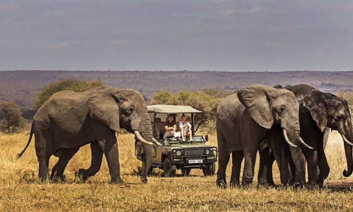 Tarangire Safari